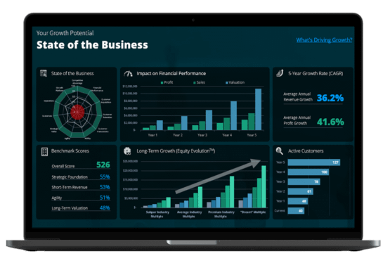 Revenue Growth Catlayst